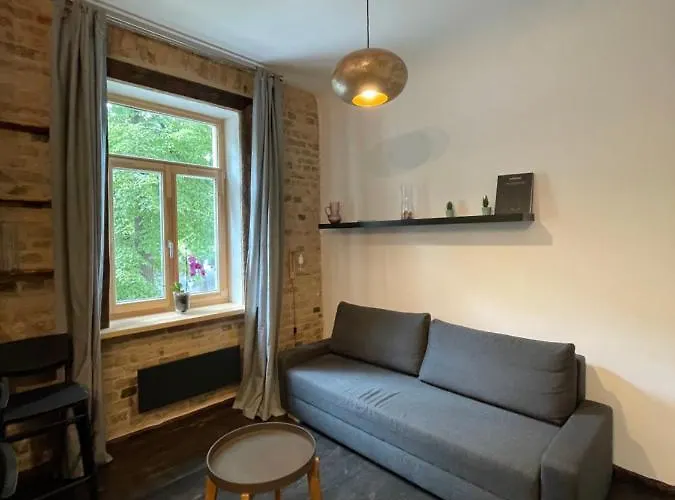 Bougie Boutique Agenskalns Apartment *